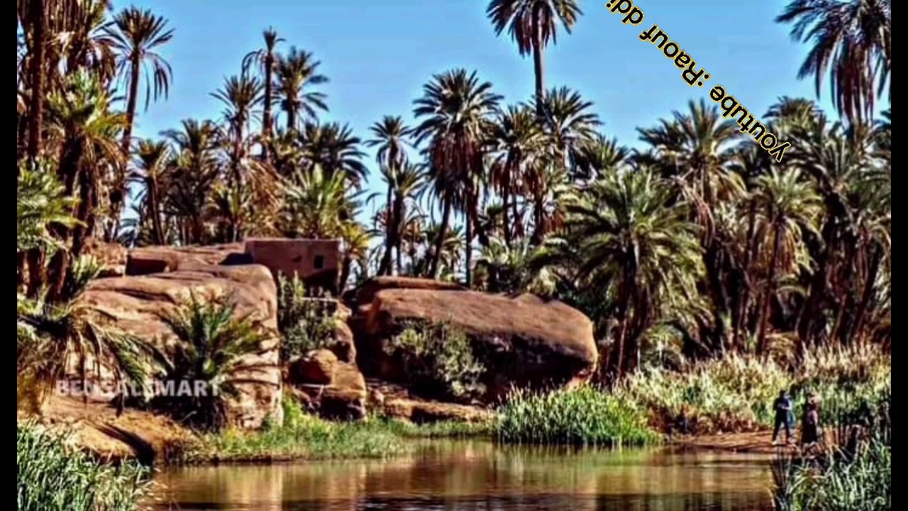 صوامت عود جنوبية ارشيف فرقة البكاي المنيعة 15 #رؤوف_ديدجي