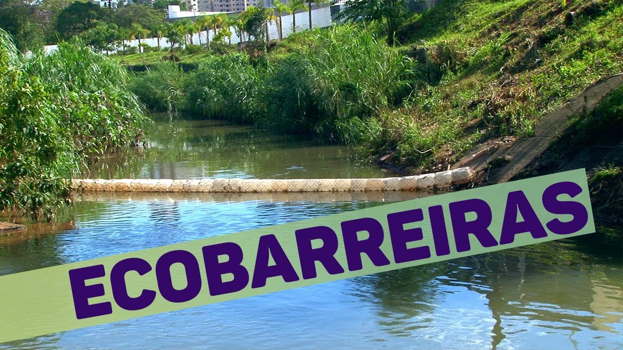 Ecobarreira: invenção fácil e barata pode ajudar a despoluir rios