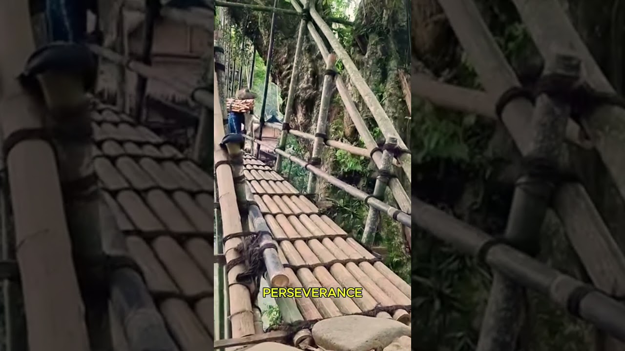 The bridge over this river is made of bamboo