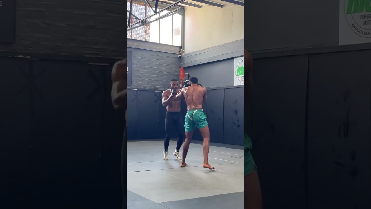 Real fight sparing 