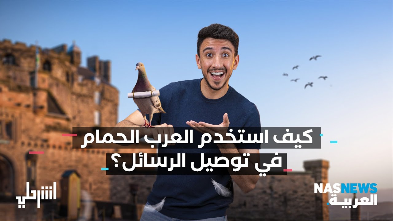 اشرحلي | كيف استخدم العرب الحمام في توصيل الرسائل؟
