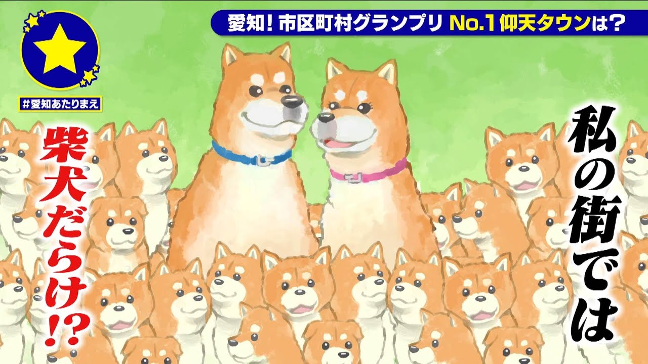 【犬山市】柴犬だらけがあたりまえ？！【愛知あたりまえ】