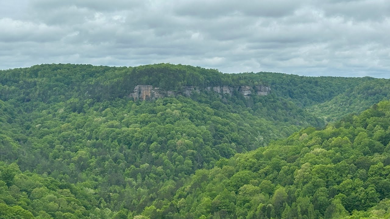 Big South Fork Hiking- John Muir Overlook, Chestnut Ridge Trail, Rhododendron & Laurel in Bloom.