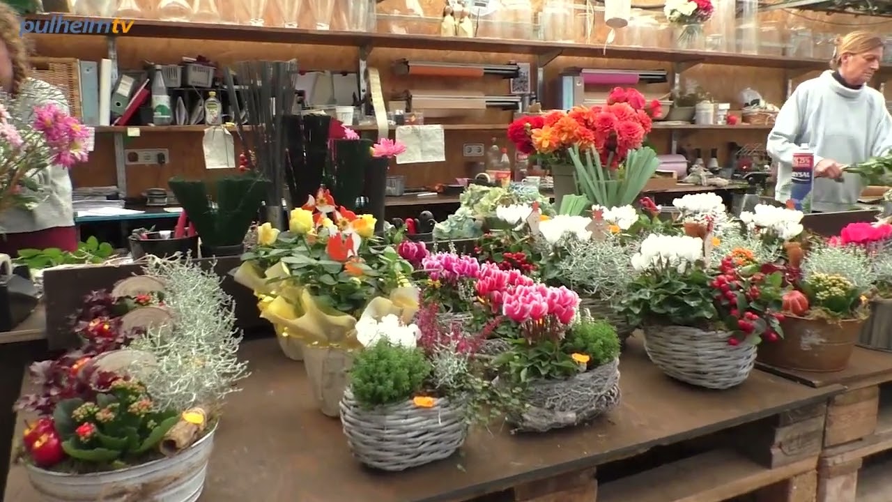 Blumen Boon, Pulheim