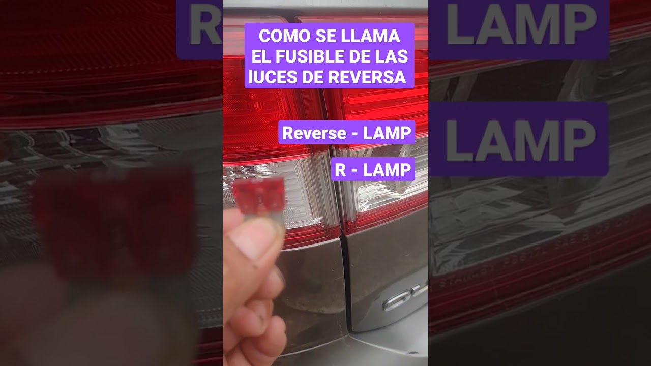 COMO SE LLAMA EL FUSIBLE DE LAS LUCES DE REVERSA #mecanica #automotriz #autos #ayudatv