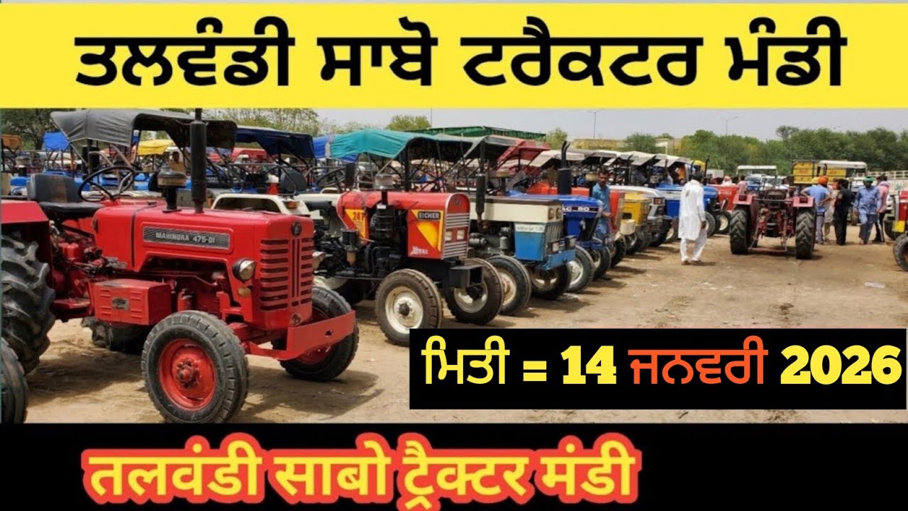 Talwandi sabo tractor Mandi तलवंडी साबो ट्रैक्टर मंडी #tractor #5911