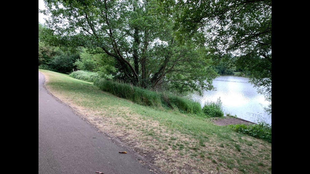 Walk Around GoldsWorth Park Lake Woking England 4K - Beautiful England -Filmed With DJI OSMO POCKET