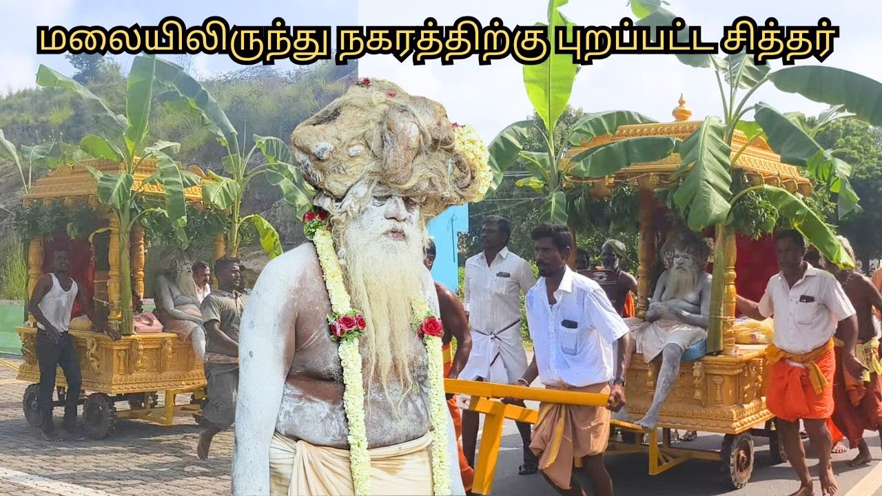 மலையிலிருந்து நகரத்திற்கு புறப்பட்ட சித்தர் I மகாநந்த சித்தர்