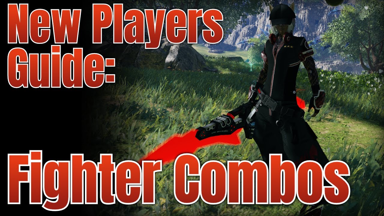 New Players Guide to Fighter Combos | PSO2:NGS