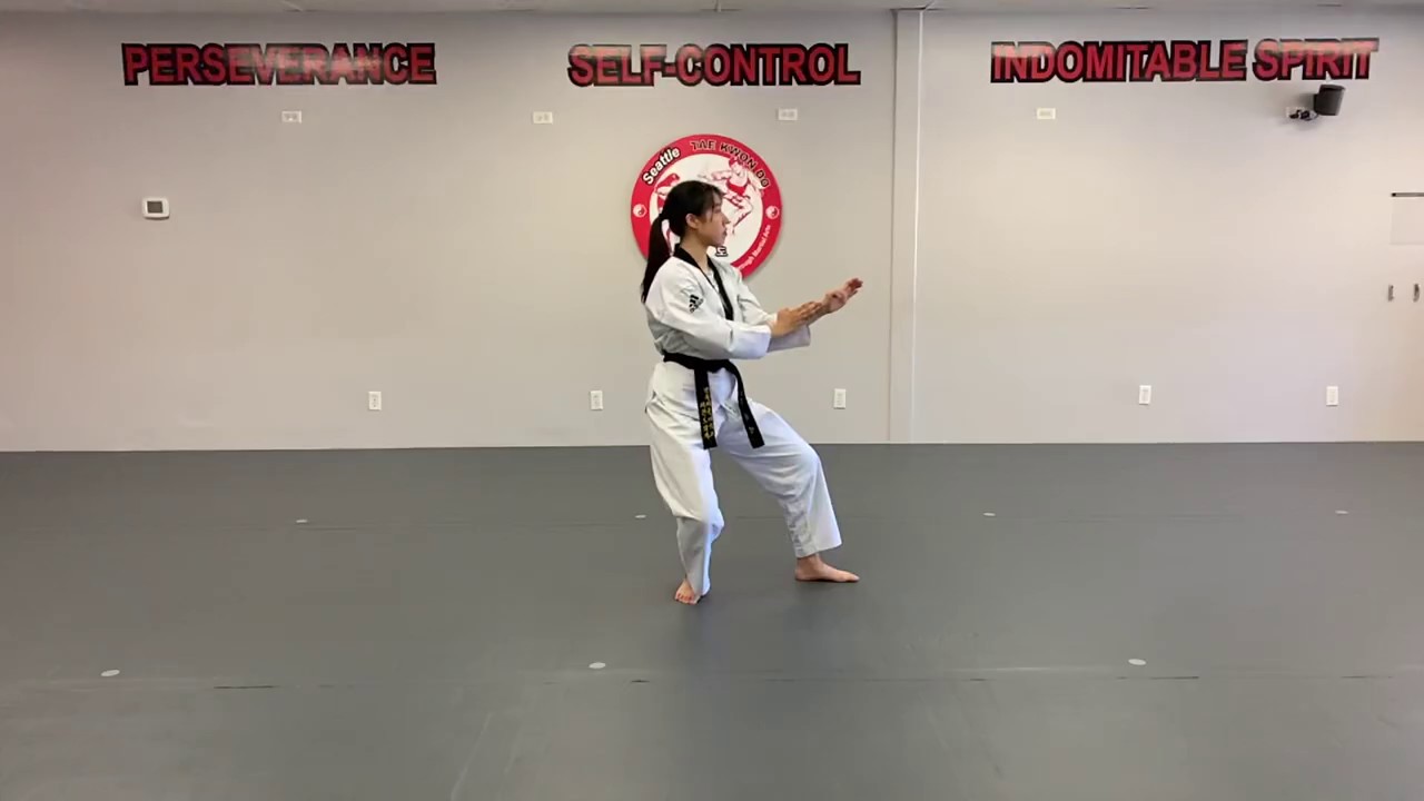 Sipjin Poomsae - In Slow Motion