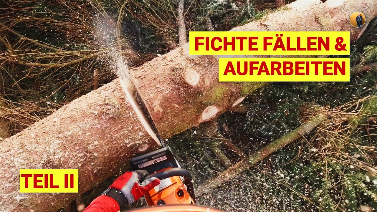 Fichte Fällen & Aufarbeiten Teil 2, STIHL MS 500i, GeoTech GeoPorter Mini Dumper, Raupendumper