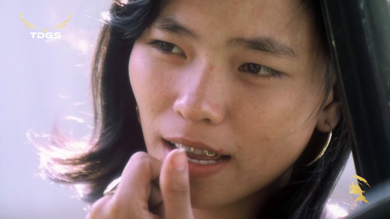 LIÊN KHÚC NHẠC VÀNG TRƯỚC 1975 | GIAI ĐIỆU KHÔNG BAO GIỜ CŨ -  TA THẤY GÌ ĐÊM NAY
