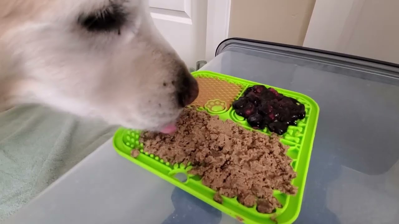 ASMR 10 Hours Dog Licking Peanut Butter, Wet Food & Blueberries Off Silicone Lick Mat