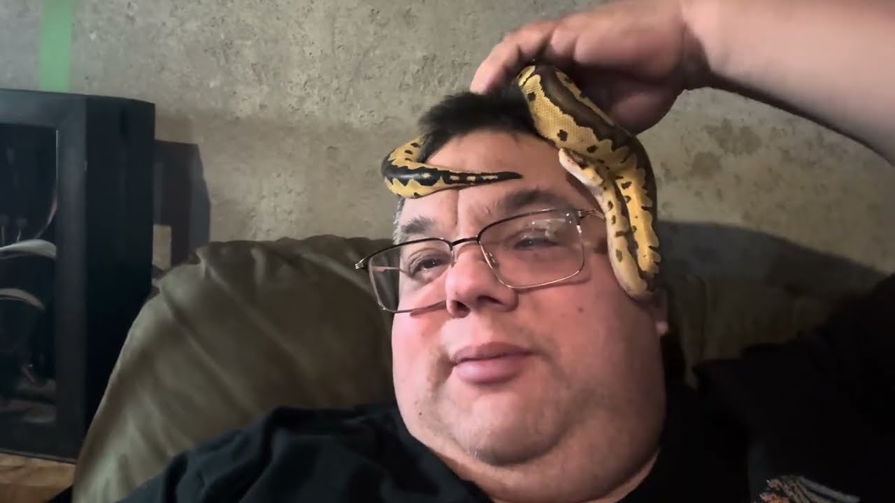 Purchasing a ball python from morph market red flags possibly.  February 8, 2026