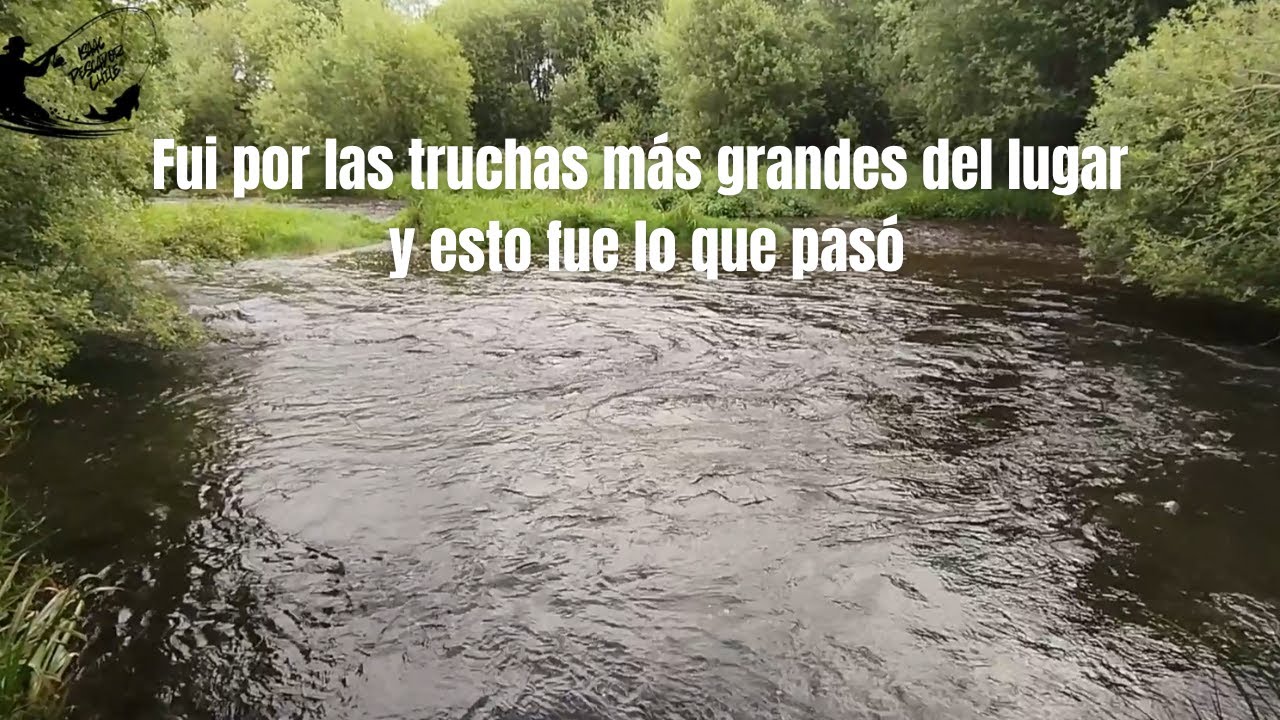 Fui al atardecer por las truchas grandes… esto fue lo que pasó