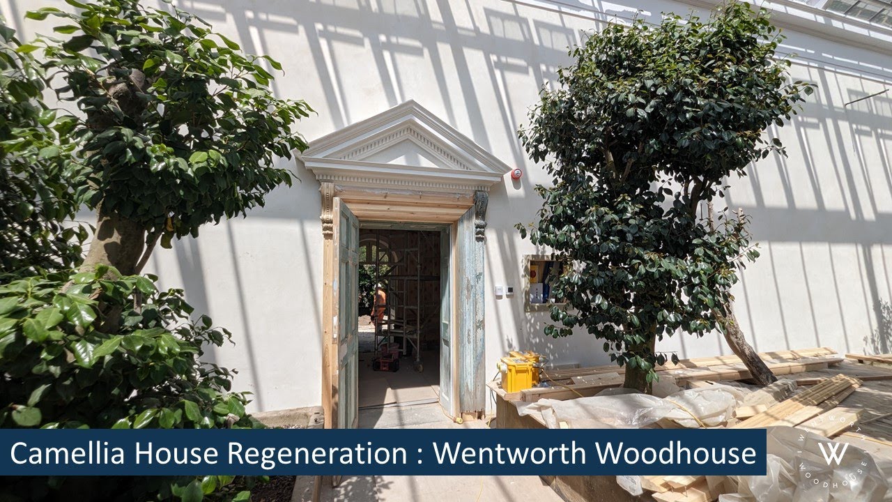 Camellia House Regeneration June 2023 update
