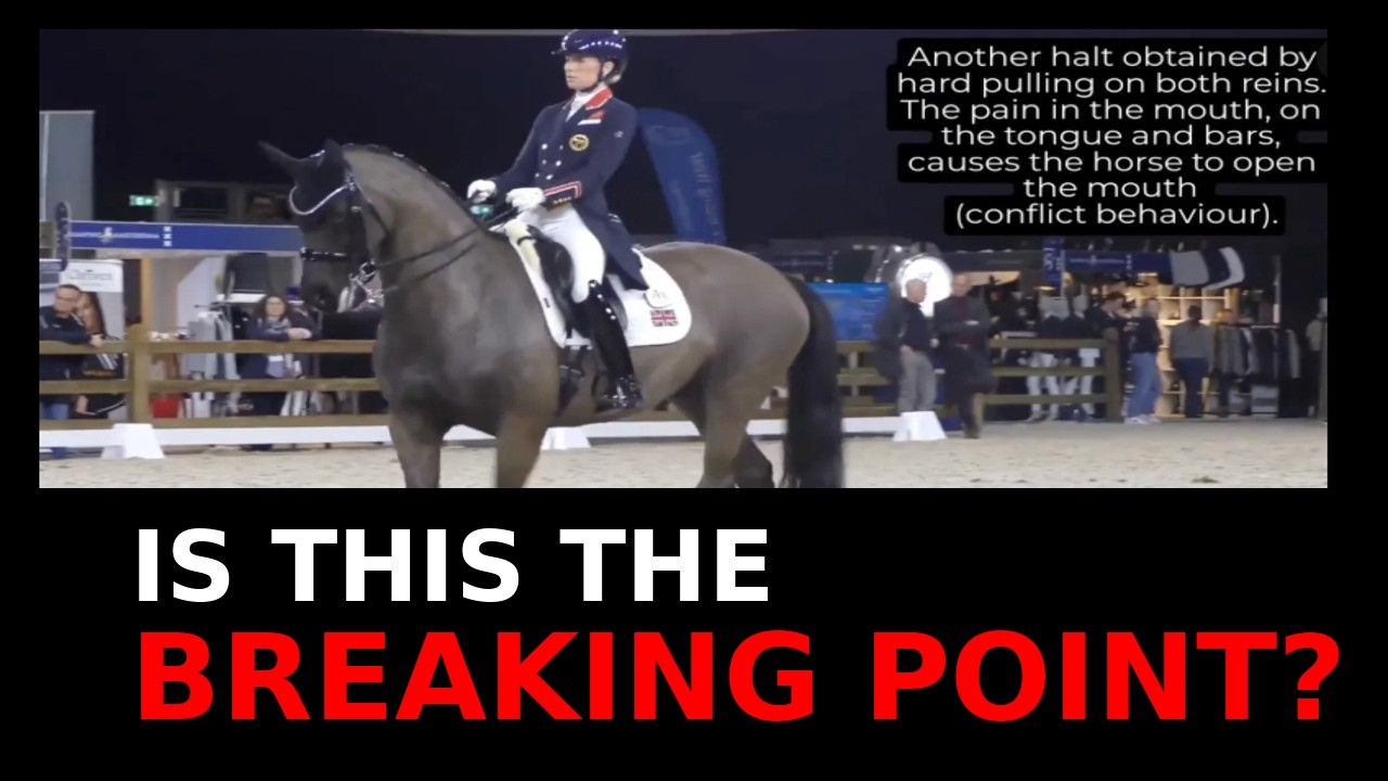 Is This Dressage’s Breaking Point? The Charlotte Dujardin Video Everyone Is Debating
