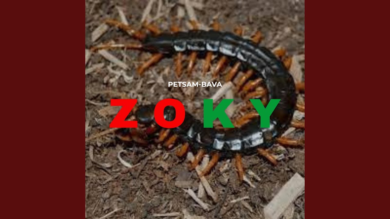 Zoky (PETSAM-BAVA)