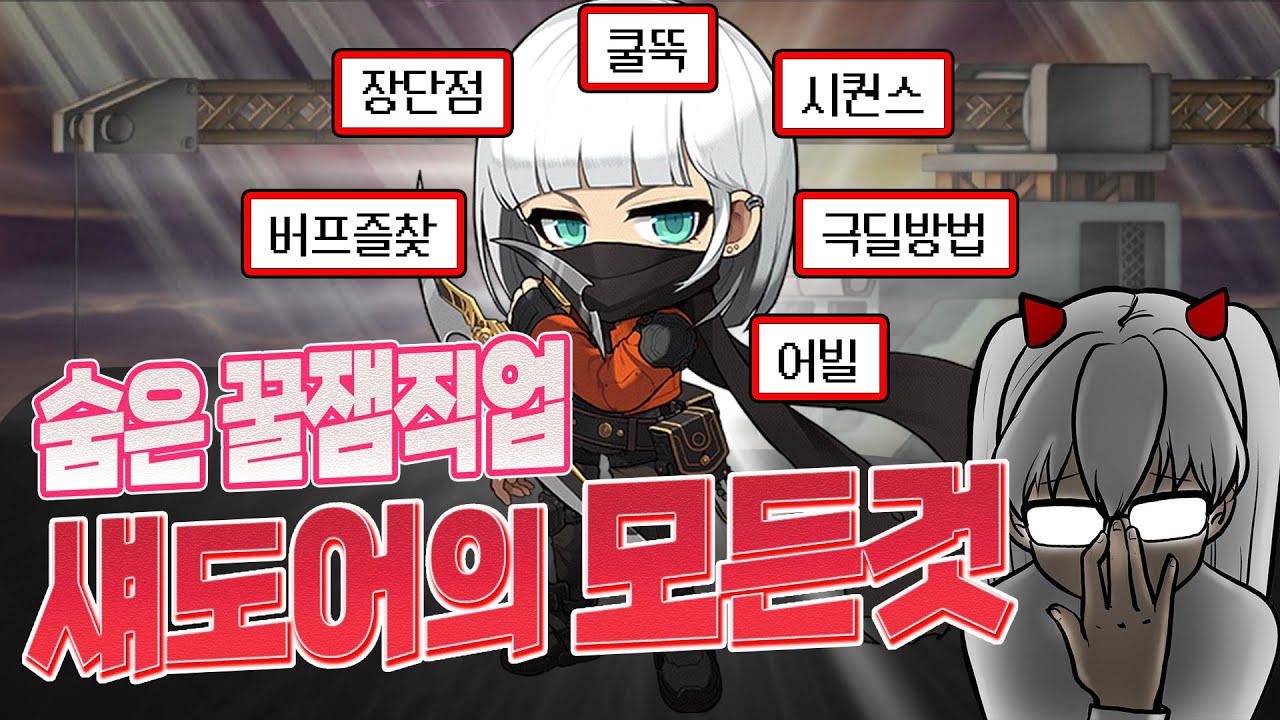 섀도어, 이 영상 하나로 끝내러 왔다  | 장단점 총정리 2025 ver.【메이플 넹찌】