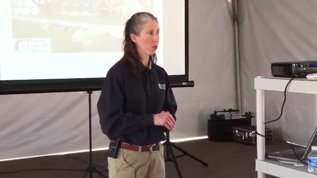 Understanding Equine Colic with Big Dee's Tack & Dr. Melissa Milligan DVM Equine Specialty Hospital