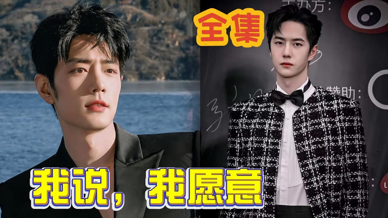 我说，我愿意 全集