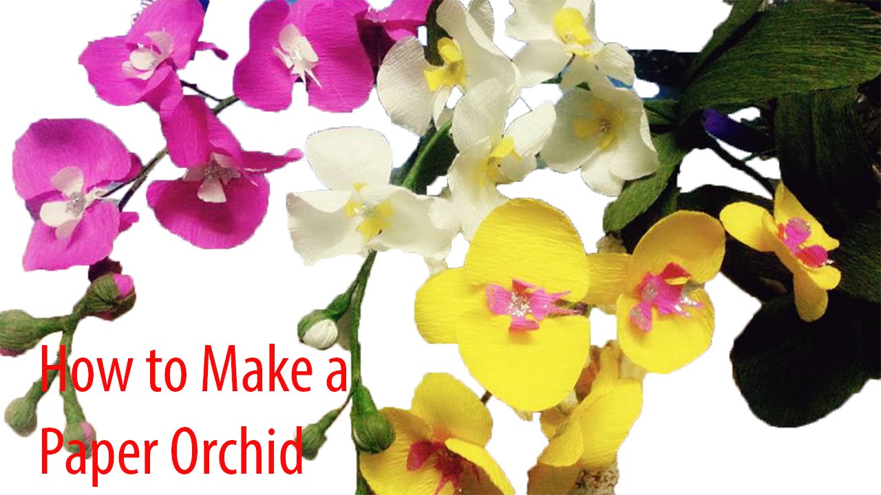 Handmade - How to make paper flowers – Orchids (fast version)