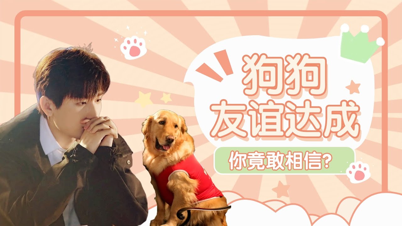 ENGSUB【BTS】超萌！成毅和狗狗“梧桐”🐶的可爱互动来了！梧桐超高冷，成毅来回逗！| 南风知我意 South Wind Knows | 成毅/张予曦 | YOUKU