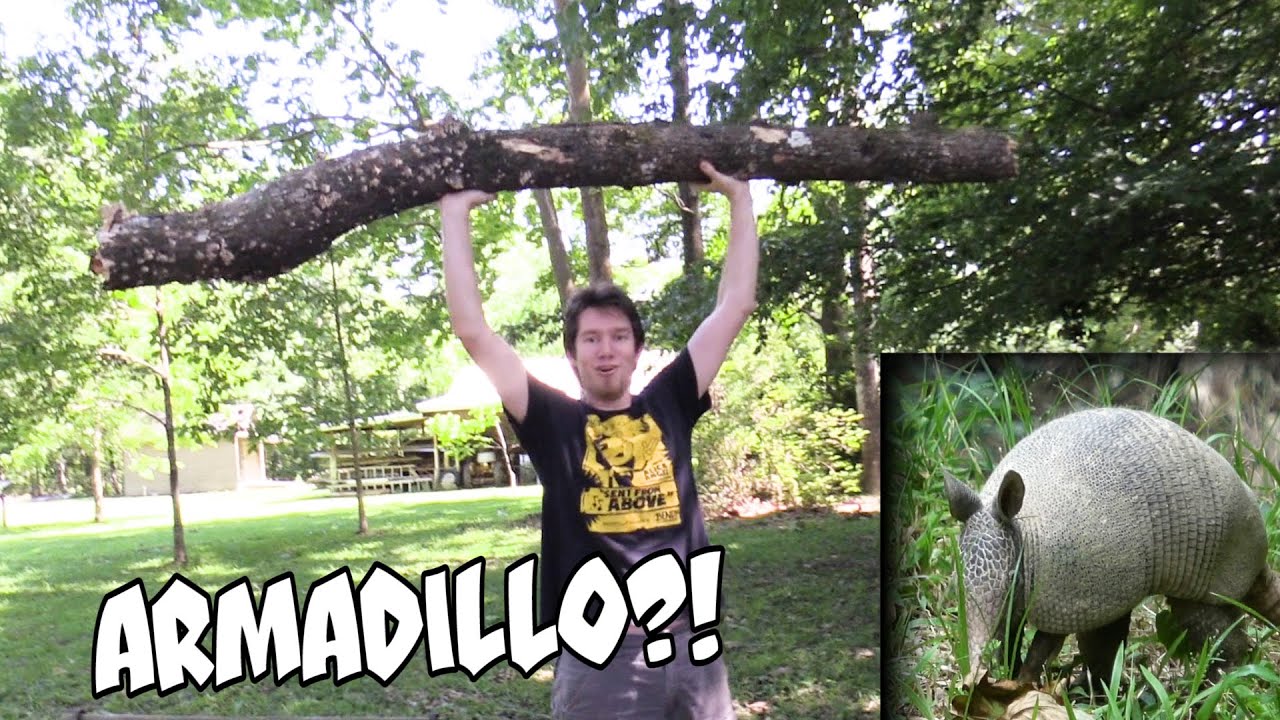 Bunker Tales- M2 VS Tree🌳 And an Armadillo!