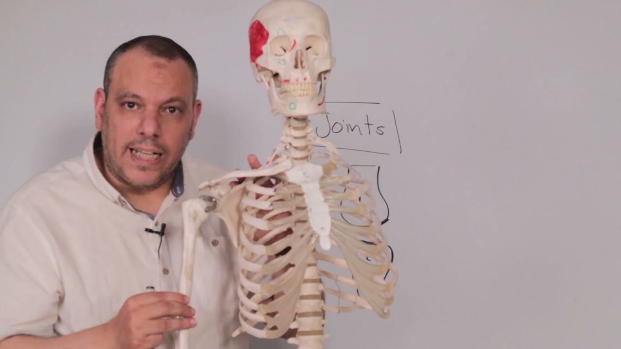 introduction to locomotor module for ASU medical students
