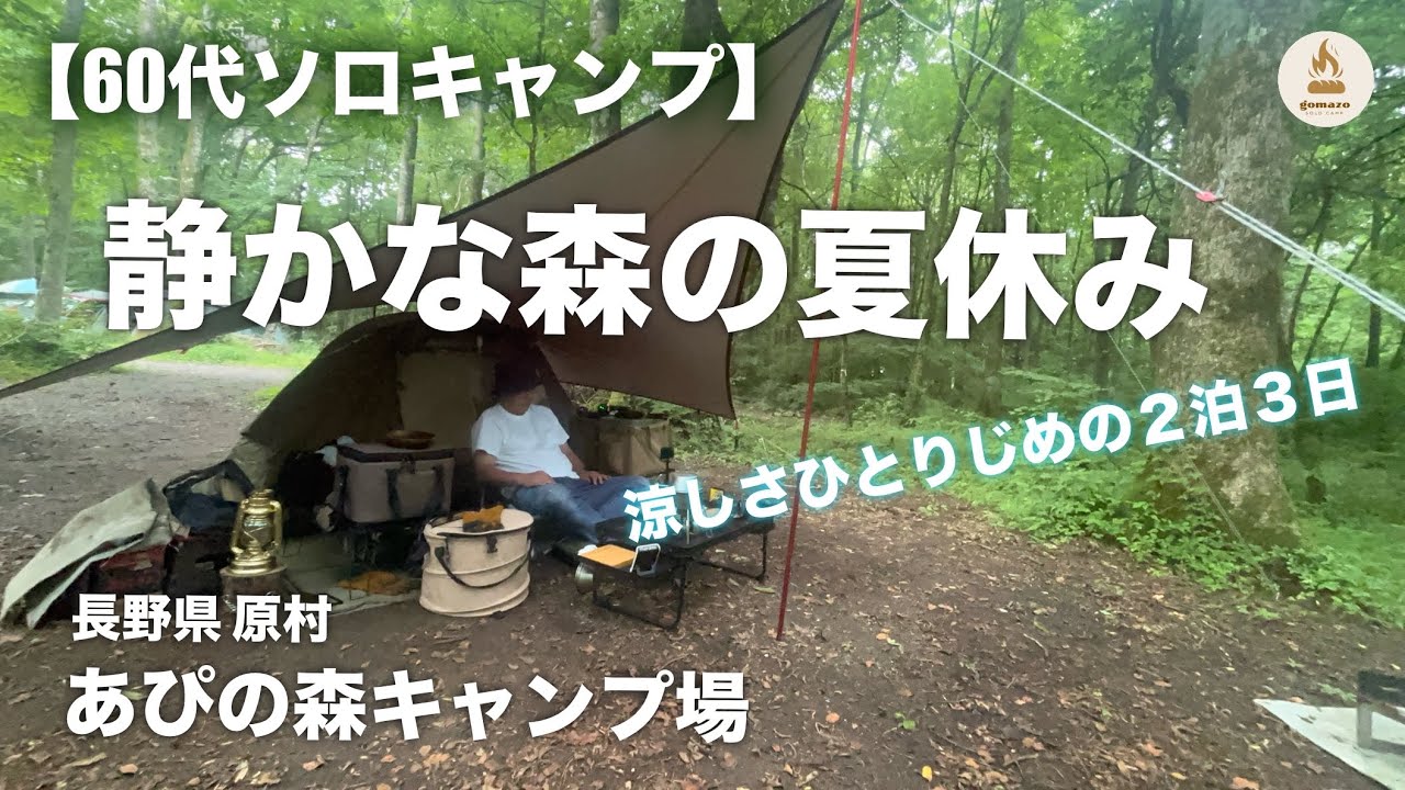猛暑から逃れ涼を求めて・・・森の小さなキャンプ場で過ごすひとり静かな夏休み【60代ソロキャンプ】
