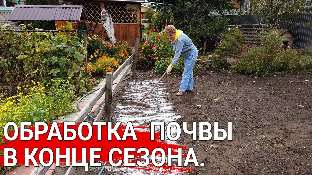 Обработка  почвы в конце сезона. | Зачем известковать почву?