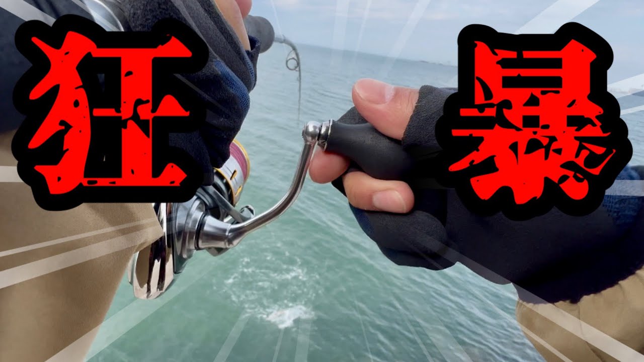 【愛知県釣り】知多半島で釣りしてきました！