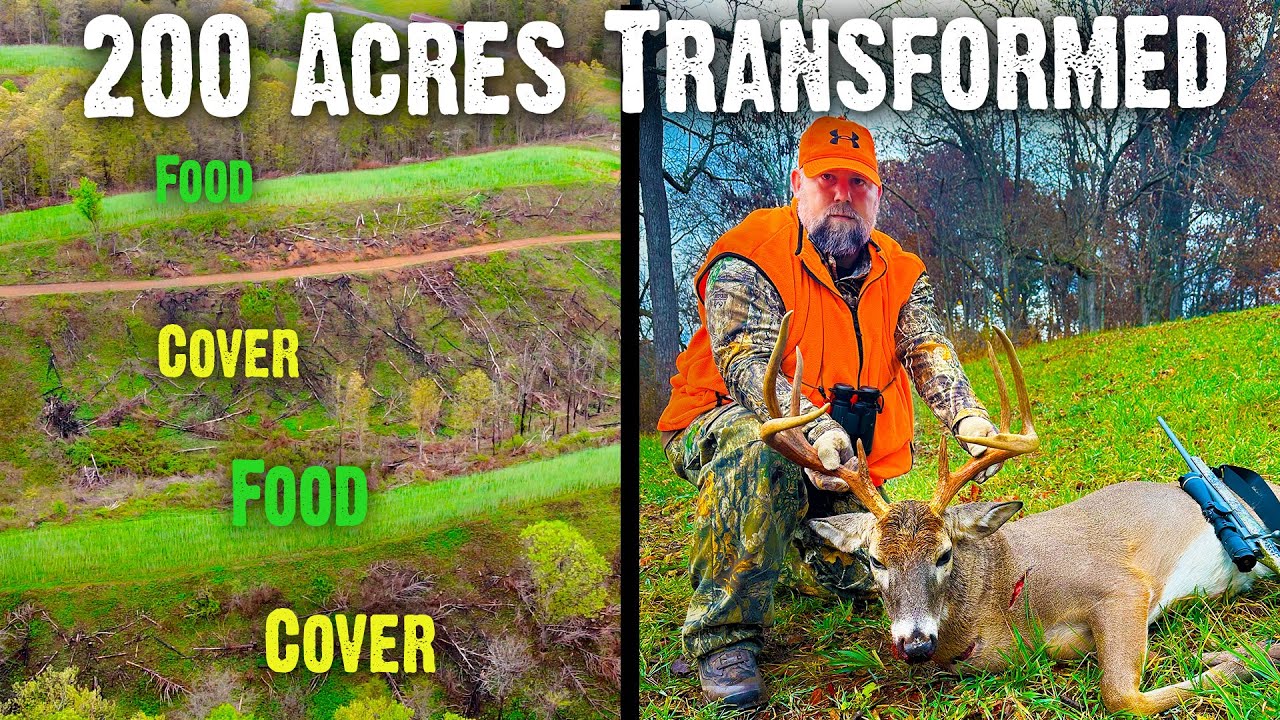 Fast habitat improvement! | Landowner's Transition from Low to High-Quality Habitat