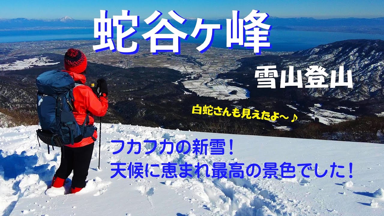 【蛇谷ヶ峰】白蛇様が見ることができました♪ 新雪と雪景色