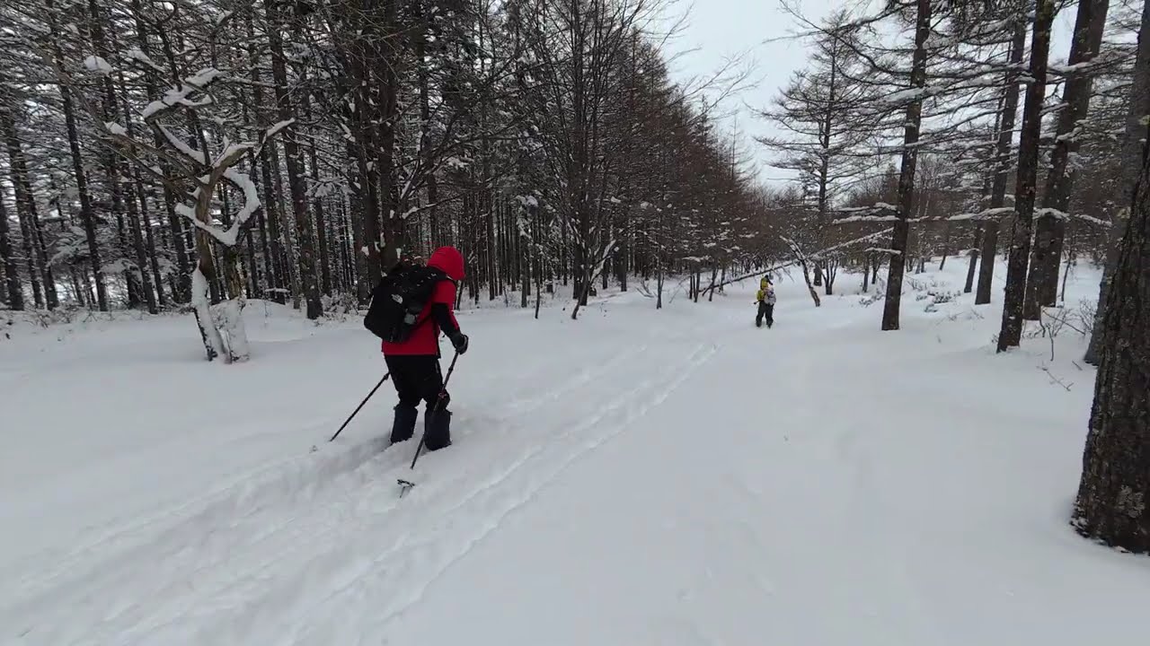 BCクロカン　ツアー　霧ヶ峰　202602