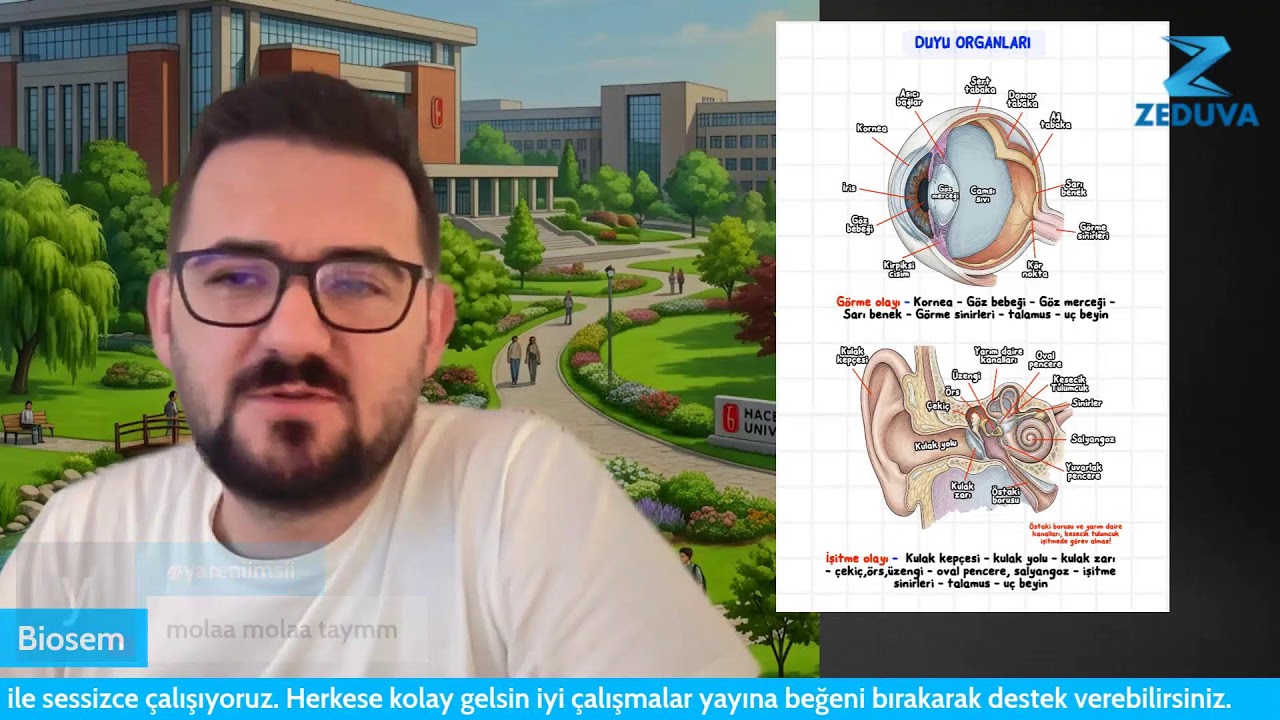 Biyoloji cep kitabı yazıyorum. Beraber Ders Çalışıyoruz. Ramodoro ❤️ | ZEDUVA SINIFI Sanal Kütüphane