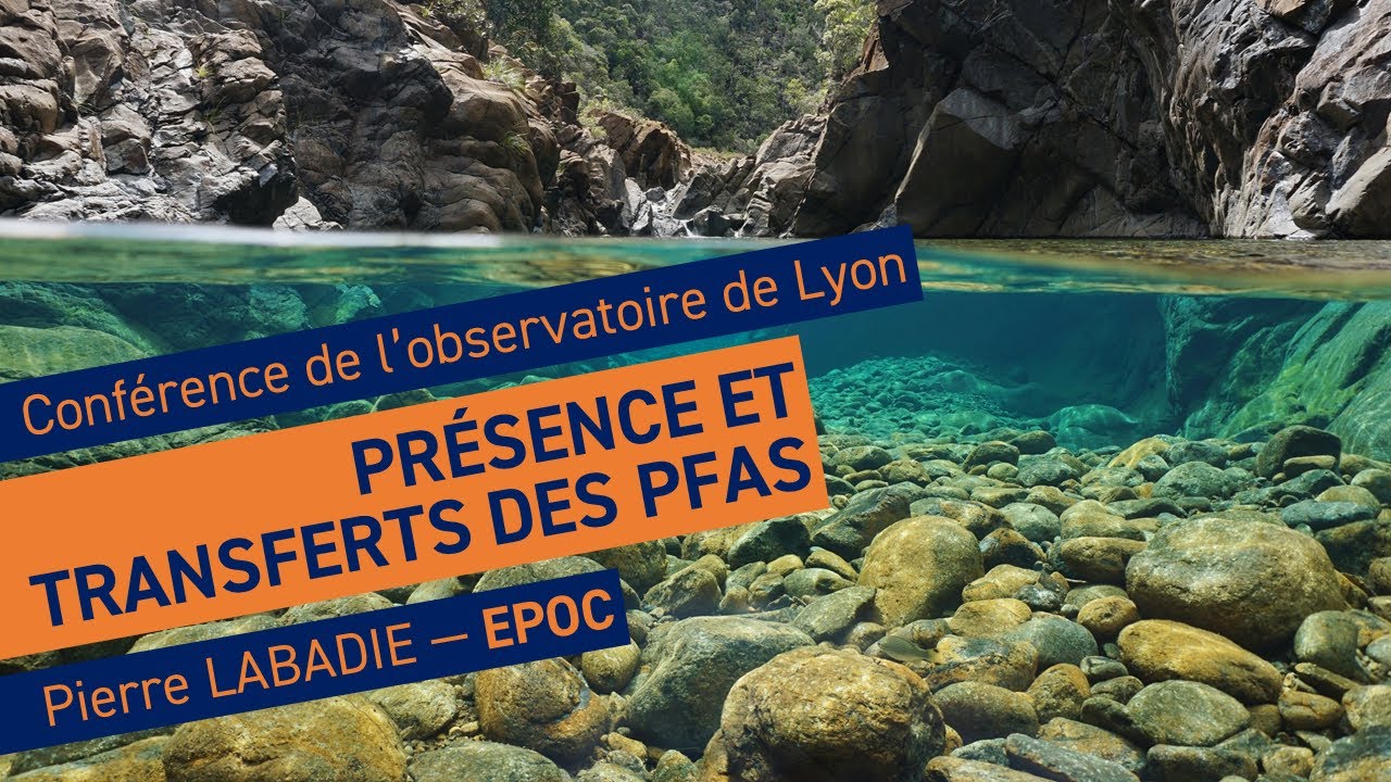 Les PFAS dans l'eau | Conférence de l'observatoire de Lyon