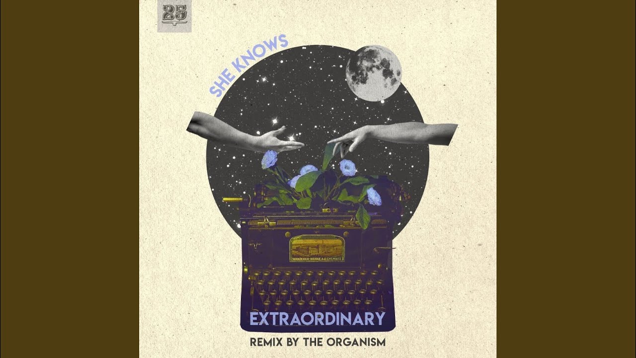 Something To Save (The Organism Remix)