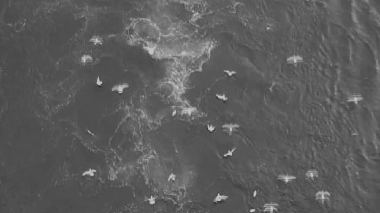 KRATZEN- Koalition