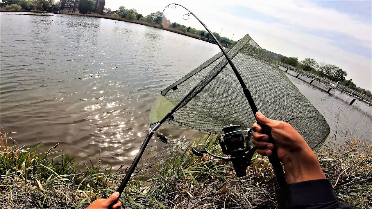 another London Lake Lump - floating Bread for BIG Carp