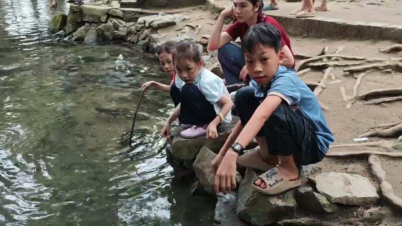 Chúc mừng 8/3/2026