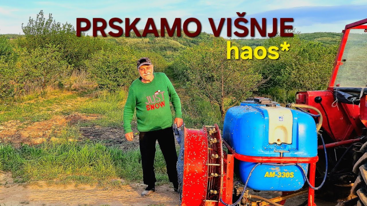 DRAGI ĆE KLEPNE KOBIJA! DRAGČE NERVOZAN! *prskamo višnje*