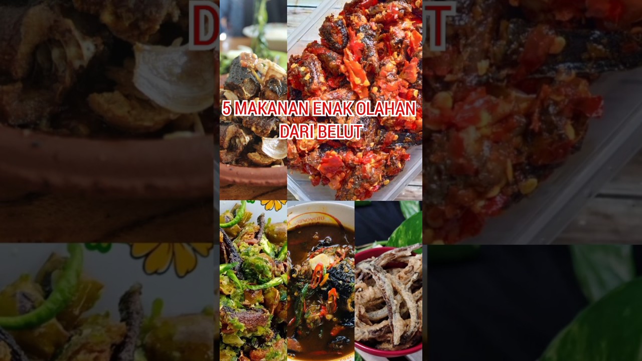 5 MAKANAN ENAK OLAHAN DARI BELUT