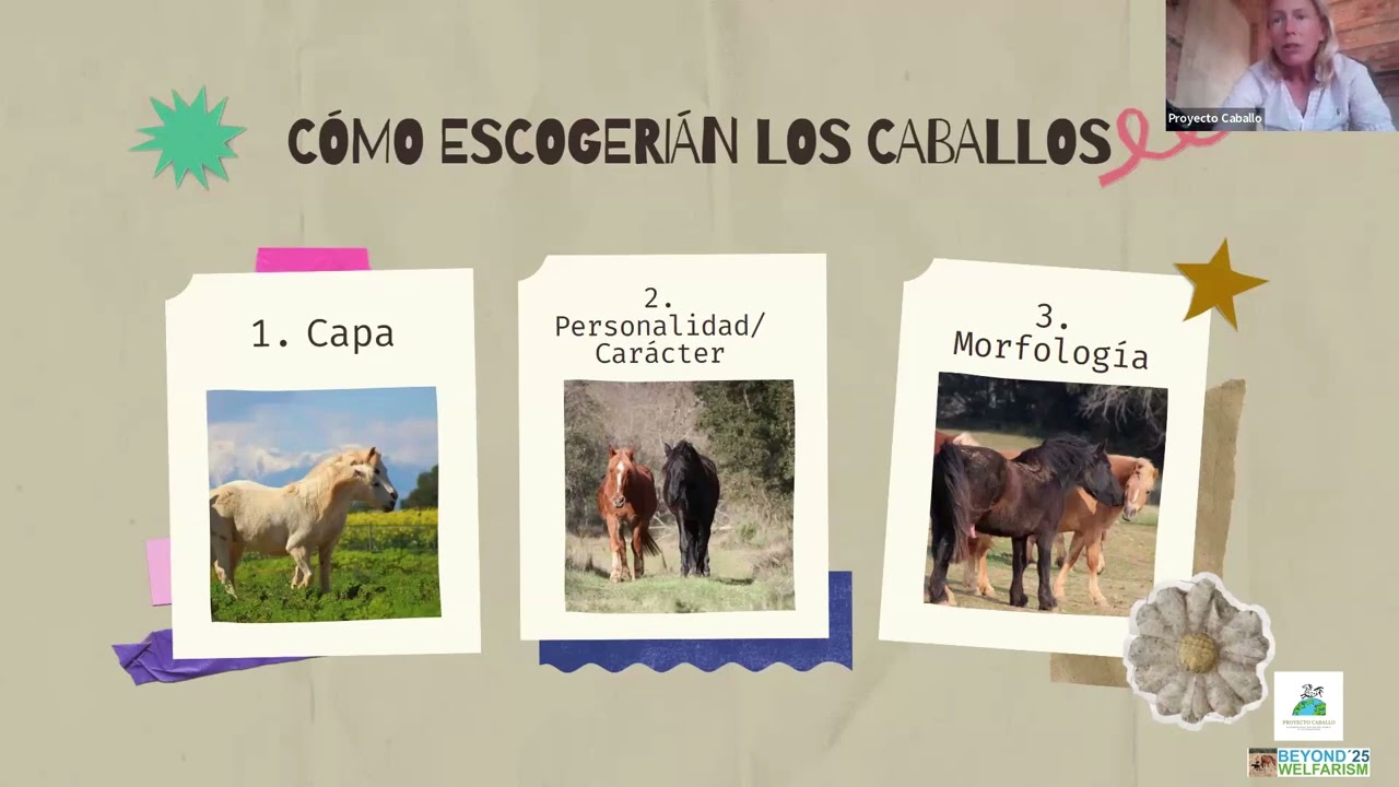 La Compatibilidad Perfecta con tu Caballo: Un Viaje a Través de 'Match Equino'