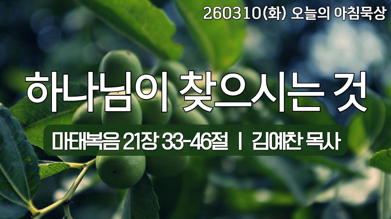 260310(화)-멀티꿈의교회-오늘의 아침묵상-김예찬 목사(하나님이 찾으시는 것 / 마 21:33-46)