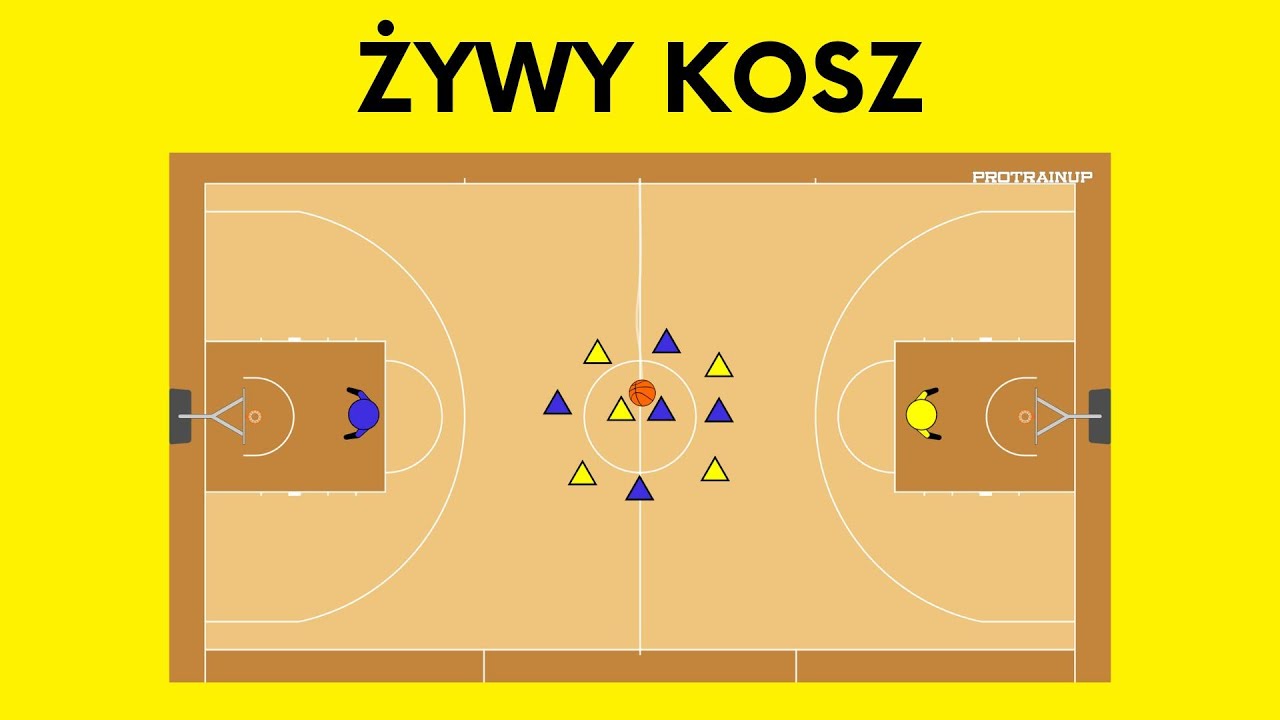 ŻYWY KOSZ - modyfikacja gry w koszykówkę