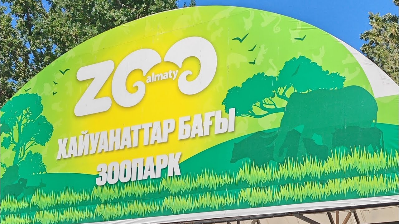 Алматинский зоопарк. Небольшая экскурсия по территории. Almaty zoo, walk on. #алматы #зоопарк 