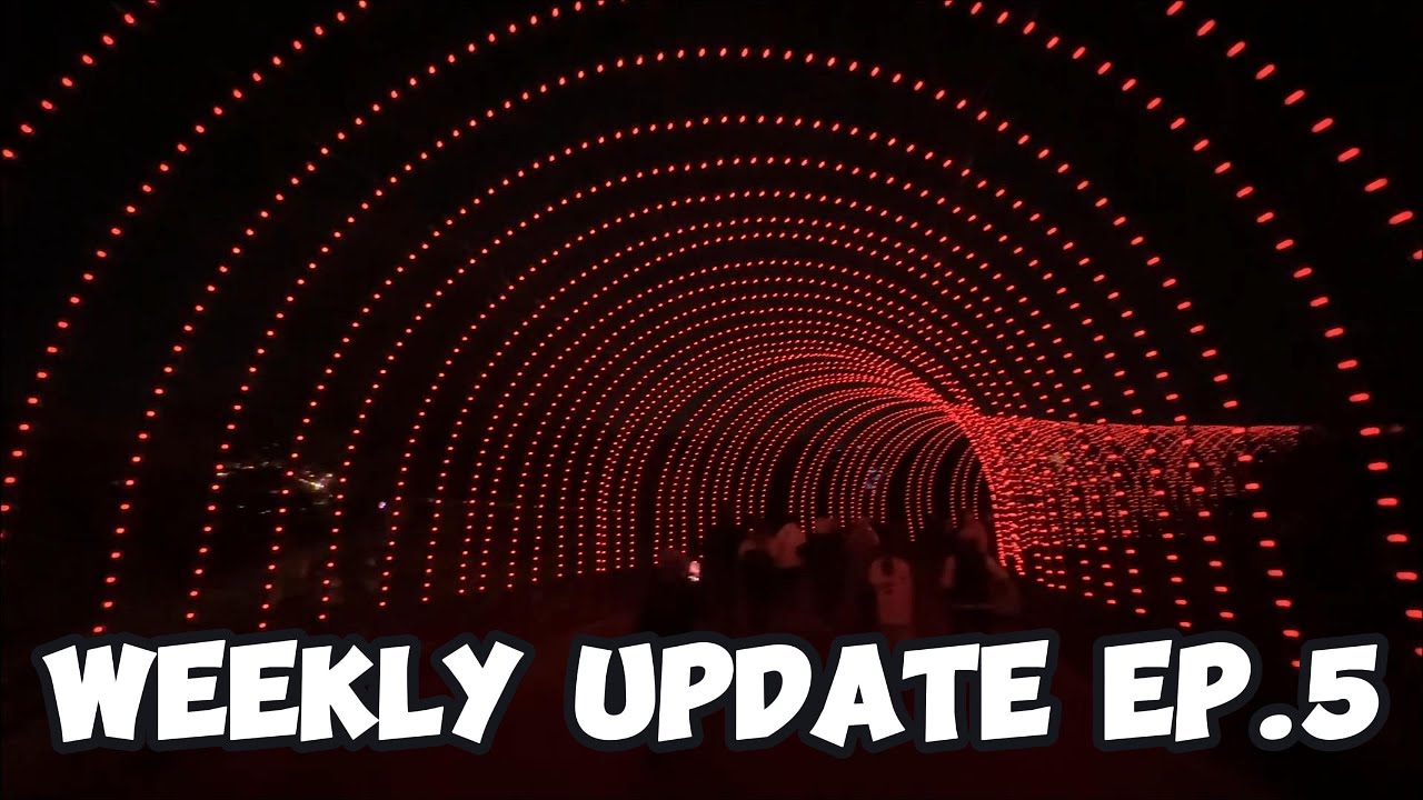 Zoolights! - Weekly Update Ep. 5