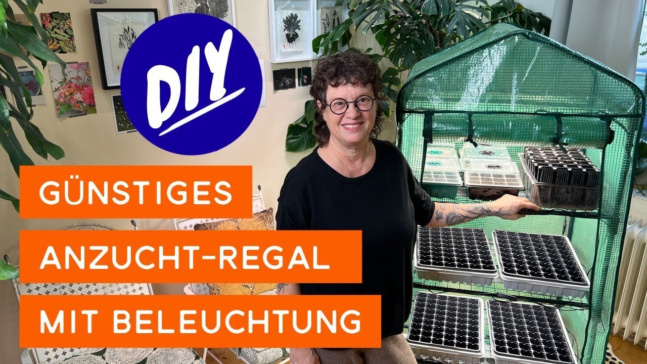 Erfolgreiche Pflanzenaufzucht im Haus mit selbstgebautem Anzuchtregal mit 💡I der kleine Horrorgarten