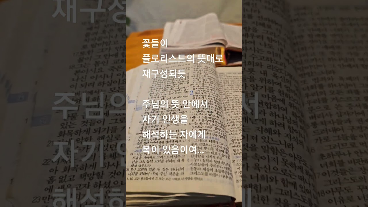 해석의 힘